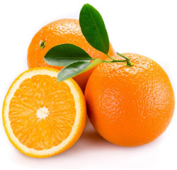 オレンジパワーのパイオニア